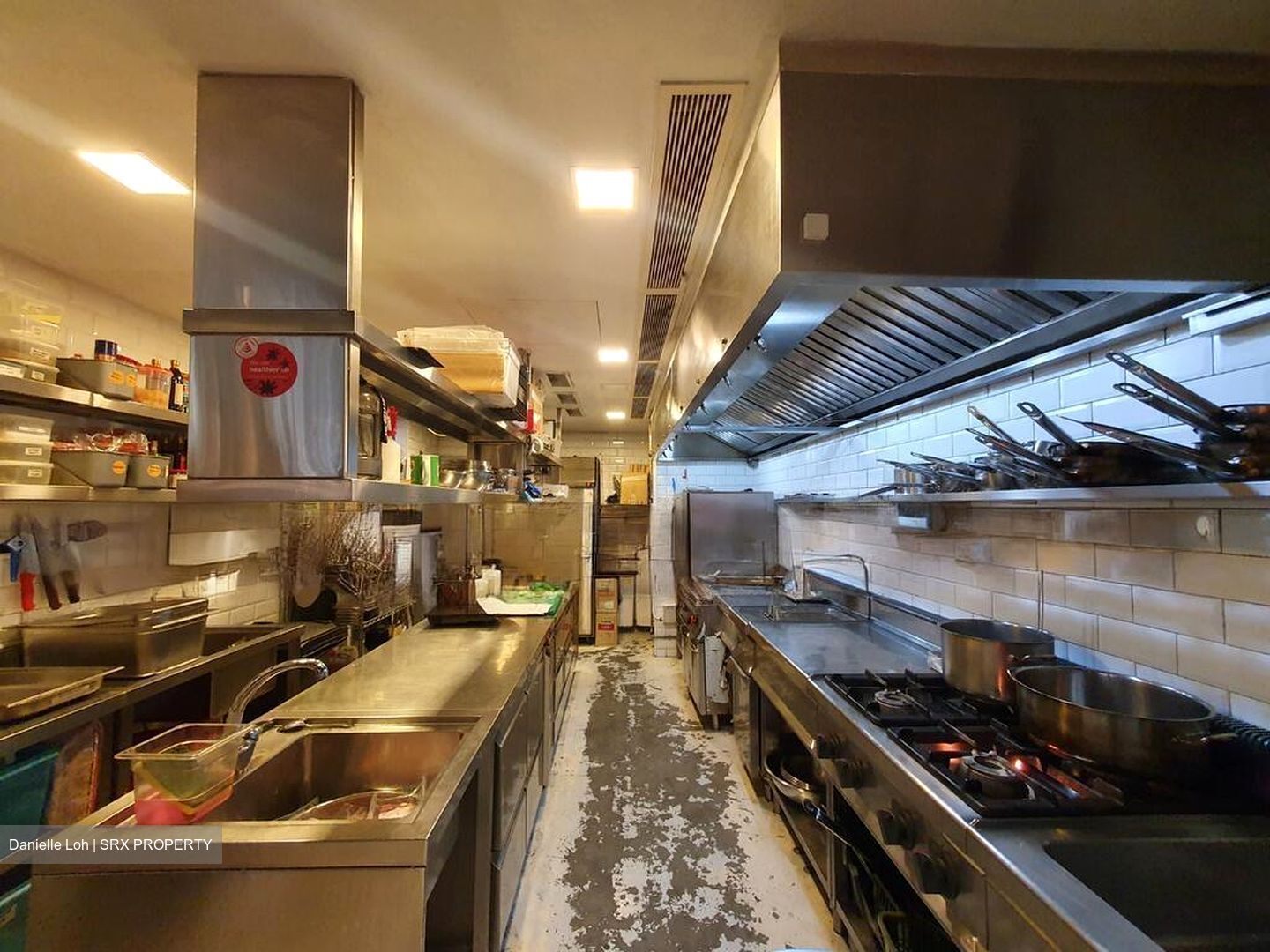 Dempsey Road (D10), Shop House #498561611